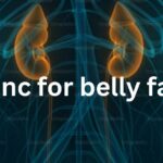 zinc for belly fat